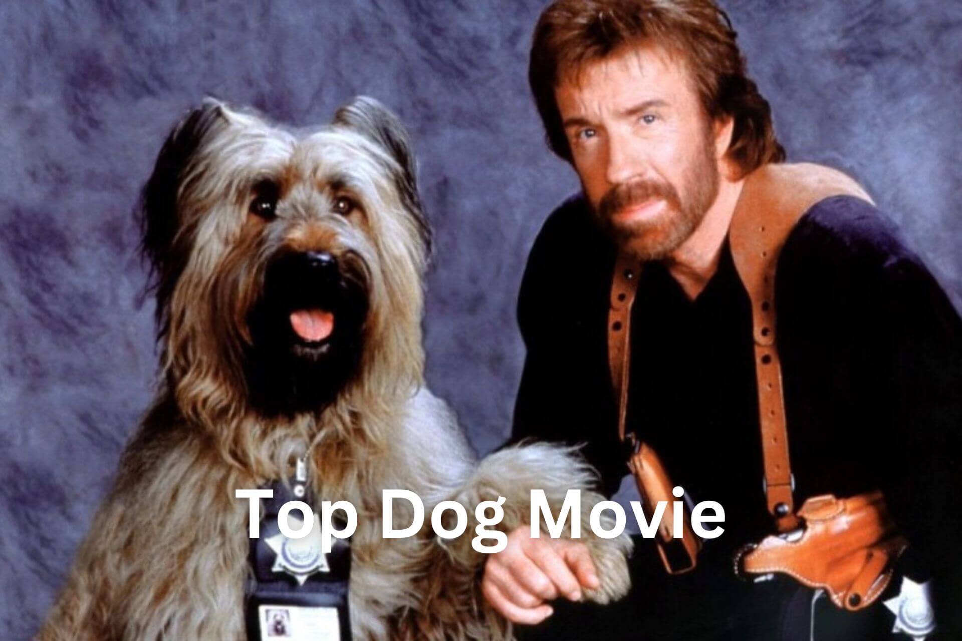 Watch Online Free Top Dog Movie, Trailer, Full Movie, Netflix, Theater